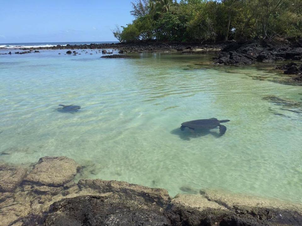 Clear tropical water from a Sean Ali travel and freedom season